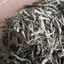 Sâm cau đen khô (Tiên mao) thượng hạng JINDO 1kg tốt cho sinh lực nam giới