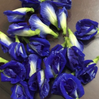 thaobui_10101972