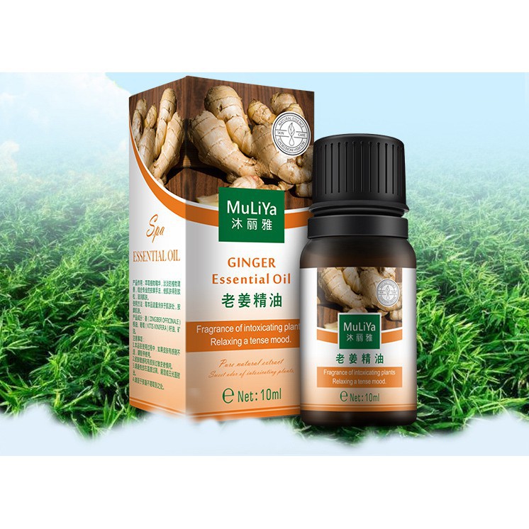 Lọ 10ml tinh dầu gừng,ngải cứu,hoa hồng,lavander