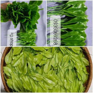 Lá mai xanh(100 lá).Sản phẩm loại 1