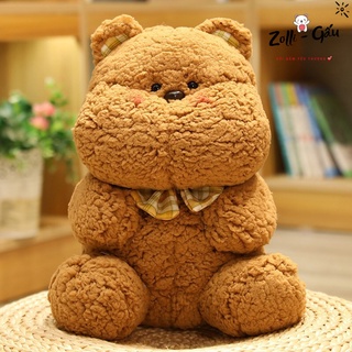 𝐍𝐄𝐖💥Gấu bông dolly - Gấu bông nhập khẩu ngoại
