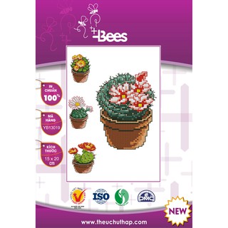 Bộ mẫu thêu chữ thập cây xương rồng