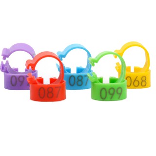 Set 50 Vòng Đệm Chân Vịt/Gà/Vịt 6 Màu Bằng Nhựa 01-50 16mm
