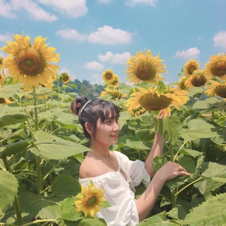 nguyentuongvi1512