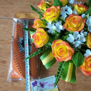 KHUÔN LÁ DƯƠNG XỈ