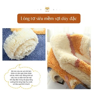 Thảm lau chân 3D trải sàn thấm hút nước siêu nhanh