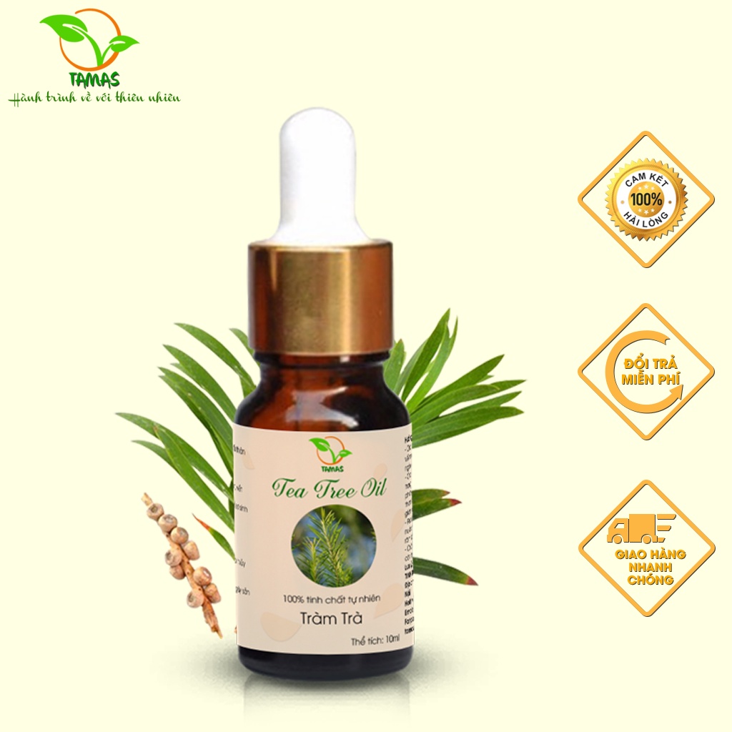 Ảnh Tinh dầu Tràm Trà nguyên chất chai 10ml/30ml TAMAS, Tinh dầu thơm phòng, khử mùi, thanh lọc không khí, làm đẹp da,... 4