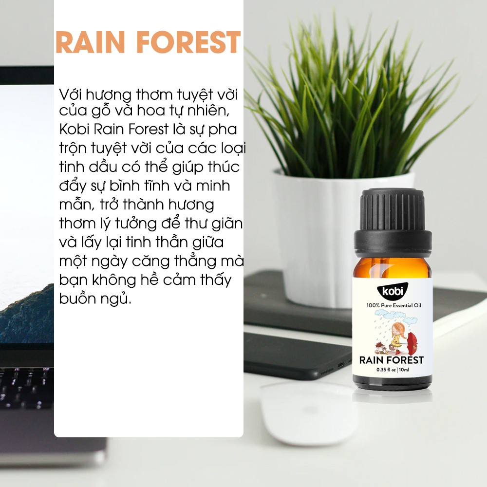Ảnh Tinh dầu Kobi Rain Forest essential oil blend giúp thư giãn, sảng khoái -5ml 3