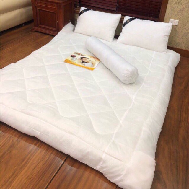 Ảnh Ruột chăn phin trắng khách sạn ruột bông micro Bo Décor 1