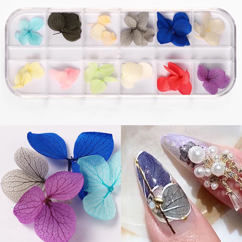 Hoa khô trang trí móng tay - Set 12 màu hoa khô nail, cánh hoa to và mỏng đắp ẩn theo phong cách Hàn Nhật