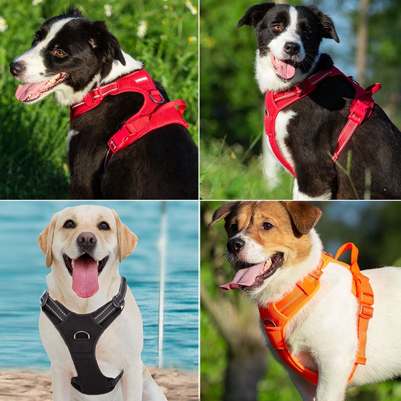 TRUELOVE Dây nịt thú cưng Nylon Phản quang Thoải mái và thoáng khí Chống cháy nổ Nhỏ Vừa Lớn Ngoài trời