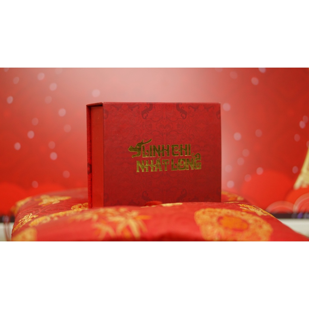 Hộp 10gói Linh Chi Nhất Long Mật mã sức khỏe-Trà linh chi Nhất Long chính hãng, thượng hạng còn nguyên bào tử dạng