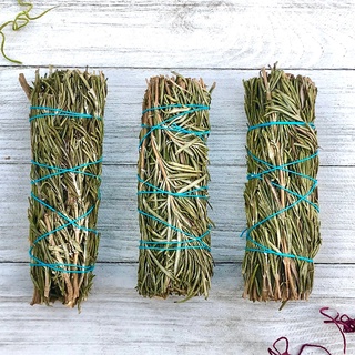 Bó Thảo Mộc Hương Thảo – Rosemary (Mystic House Tarot Shop)