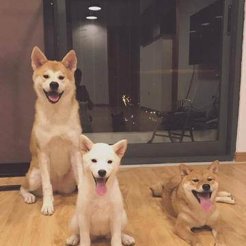 nguyenthethai_93
