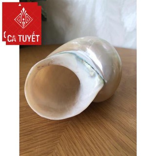 Vỏ ốc khảm xanh mài xà cừ, quà lưu niệm đẹp