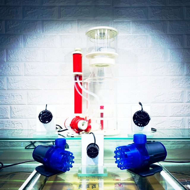 ZKSJ プロテインスキマー REEF-80JN 【定番人気，高品質】 ZKSJ