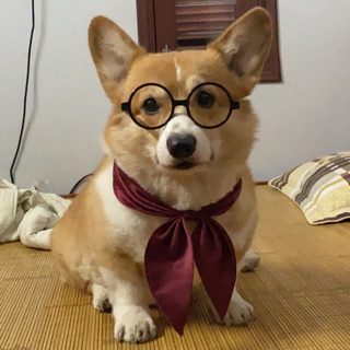 cucaitranggg