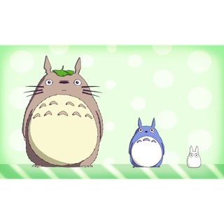 totoro2411