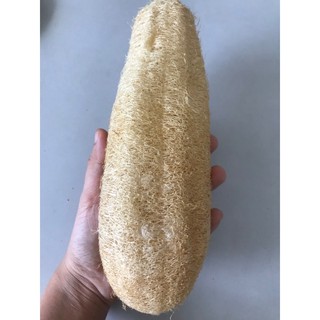 Xơ mướp nguyên trái, Xơ mướp thô