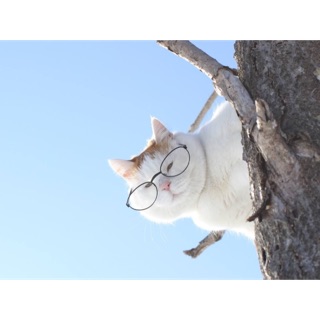 thanh.yen_86