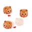 Set 2 con vật mini chạy đà - thú chạy cót mini cho bé