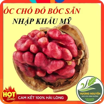 Óc Chó Đỏ Bóc Sẵn - Nhập khẩu Mỹ - Nhân Hạt Óc Chó Đỏ, Dinh Dưỡng Cho Mẹ Bầu Và Bé - Ngũ Cốc Hương Nguyên