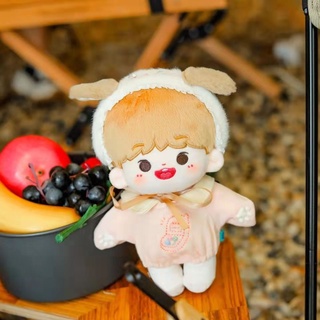 [ORD] Doll Đinh Trình Hâm 10cm 15cm 20cm 40cm - Búp bê Đinh Trình Hâm TNT Thời đại thiếu niên đoàn DO1