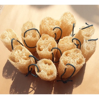 Bông Tắm Xơ Mướp, Xơ Mướp Tẩy Tế Bào Chết, Miếng Rửa Chén Cắt Khúc 12cm, Massage Da, 100% Hàng Hữu Cơ Xuất Khẩu