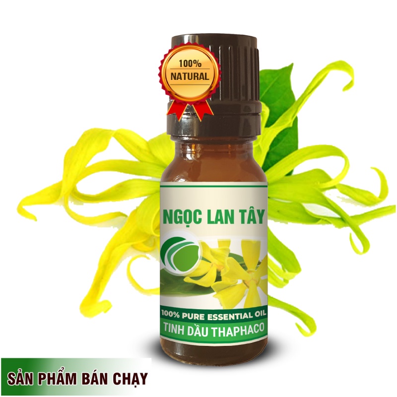 Tinh Dầu Ngọc Lan Tây Chất Lượng Cao 10ml Thaphaco