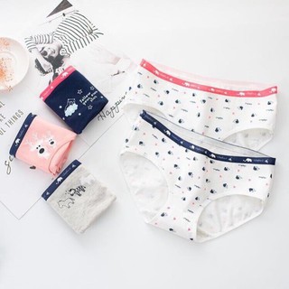 FREESHIP 99K TOÀN QUỐC_Túi Zip 5 Chiếc Quần Lót Cotton Nữ Cute Cao Cấp