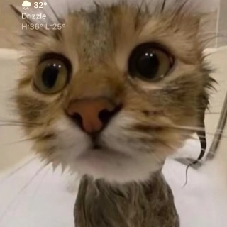 cakhouopmuoidien