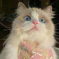 doris._.thao