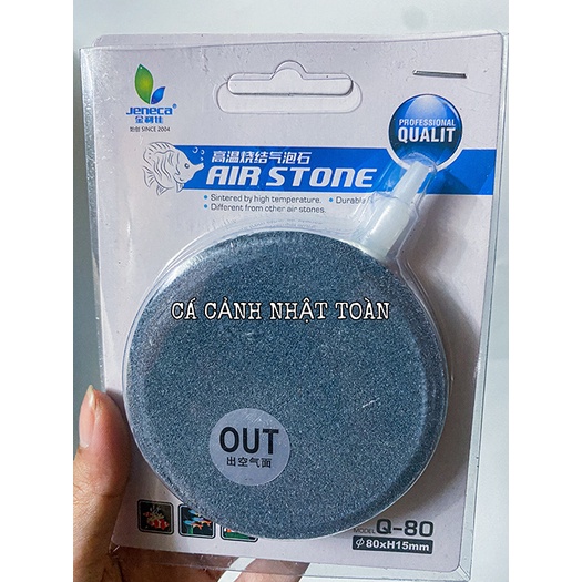 SỦI DĨA OXY BỂ CÁ CẢNH 4CM 6CM 8CM