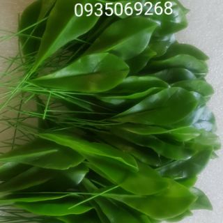 Combo lá nụ mai