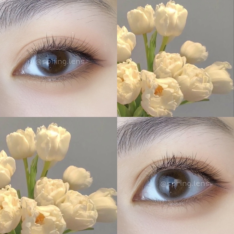 Kính áp tròng Bom Brown nâu sữa trong có giãn tròng 1 tháng | Spring Lens