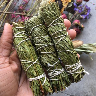 Tuyết Tùng - Cedar (Bó 10-12 cm) (Mystic House Tarot Shop) - Sản Phẩm Authentic Chính Hãng 100%