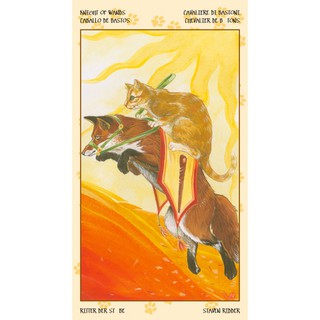 Bộ Bài Tarot of Pagan Cats (Mystic House Tarot Shop) - Bài Gốc Authentic Chính Hãng 100%
