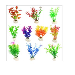 Bộ 10 Cây Cỏ Nhựa Nhân Tạo Trang Trí Bể Cá 10cm
