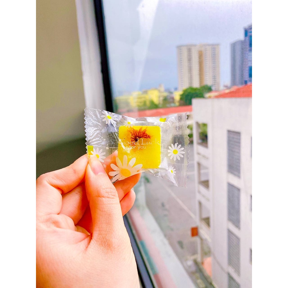 Ảnh Đường phèn hoa cúc Dr Saffron - viên 15gr 1