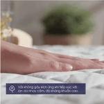 Tấm bảo vệ nệm Changmi Bedding chống thấm tuyệt đối làm tăng tuổi thọ nệm - Đủ size — ảnh 3