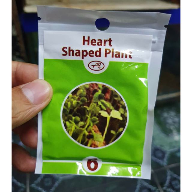 HẠT GIỐNG THỦY SINH SỐ 6 CỎ TRÁI TIM 10G