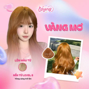 Thuốc Nhuộm Tóc Màu VÀNG MƠ Không Tẩy | Chenglovehair, Chenglovehairs
