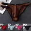 Quần lót ren nam Cosyh loại sissy pouch, thiết kế tầng thấp trong suốt