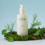 Serum Hàn Quốc Làm dịu nhanh Cica Tea Tree Rebalance 100ml - Cica, Tea Tree