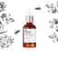 Phấn hoa ong Ampoule Hàn Quốc Renew 40ml - Glow-look, Nuôi dưỡng