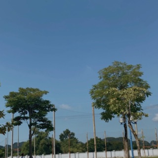 vubaongoc11