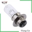 Bóng Đèn Pha Halogen Trong Suốt 35W 12V P15D-25-1 Cho Xe Hơi Xe Máy