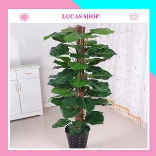 Cây giả - cây trầu bà leo giả 1m6, 63 lá (loại 1) decor, trang trí nhà cửa, văn phòng