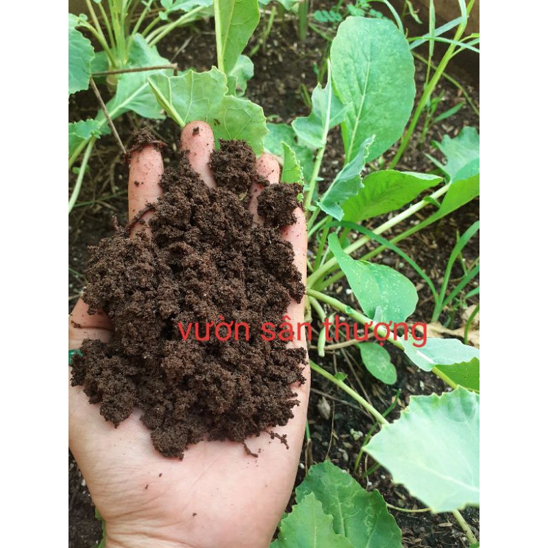 10kg Phân Tr.ùn Ngu.yên Ch.ất Nhà N.uôi, Đủ Tháng Xuất, Duy Trì Độ Ẩm Giúp Trứ.ng Tr.ùn Còn