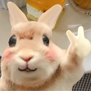 hi.rubieee